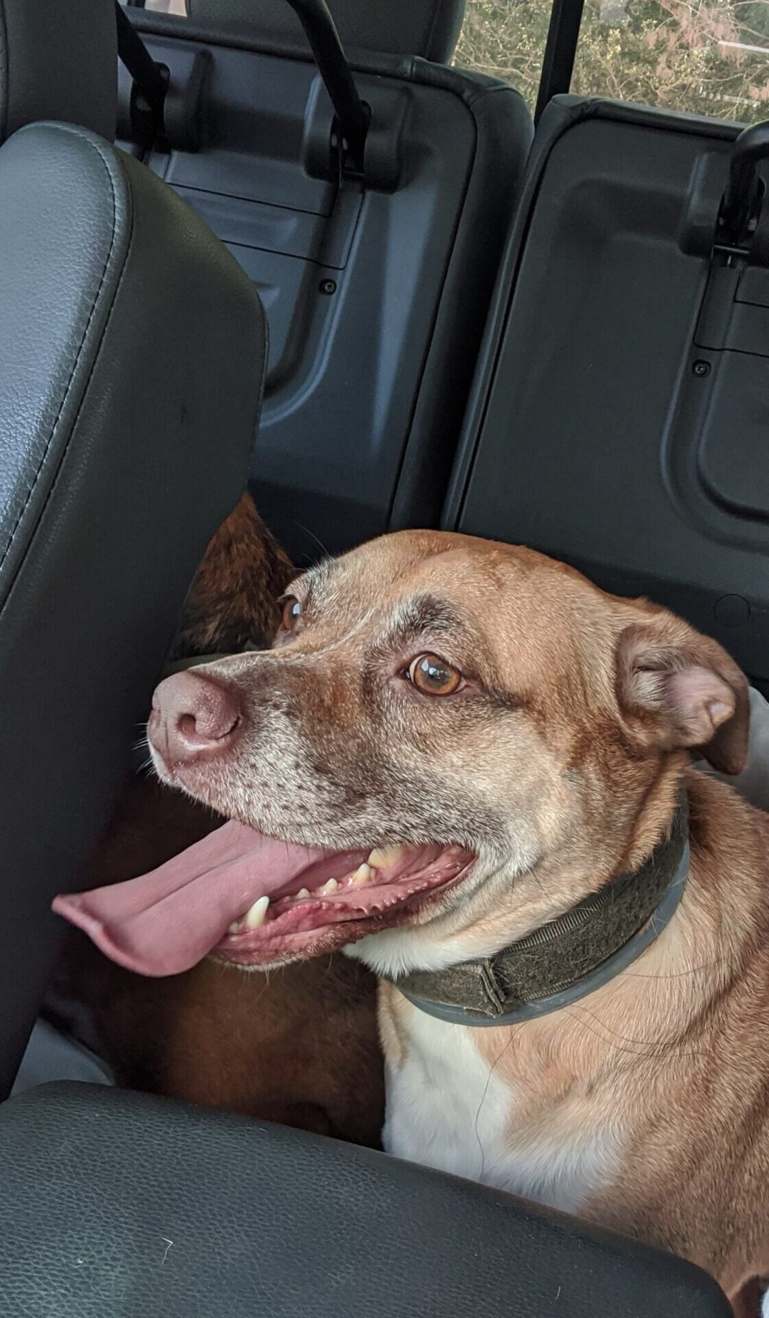 IMG_20200704_120536 (1)